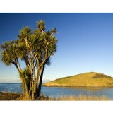 neuseeland13_sxc