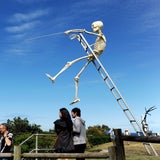 Skurrile Skulpturen am Strand von Sydney