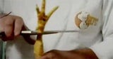 huhn2
