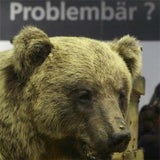 bruno_460_reuters_1
