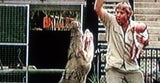 AFP_steve_irwin