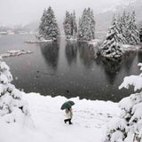 schweiz_1