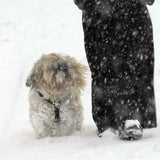 schnee-2-apa