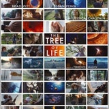 The Tree of Life