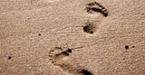 fussabdruck1