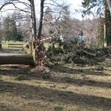 sturm7