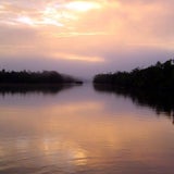 Amazonas