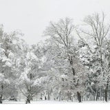 schweiz_epa