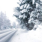 schnee03