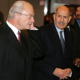 iaea2