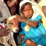 indien_hund02