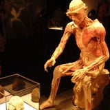 bodies9