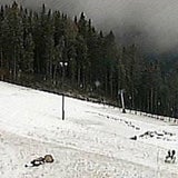 Schnee-Crash: Bus stürzt ab