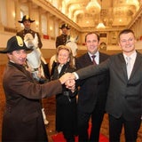 lippizaner_01_apa