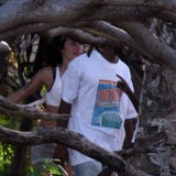 amy 3