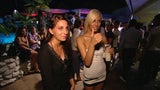Saturday Night Fever - Tara