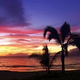 maui1