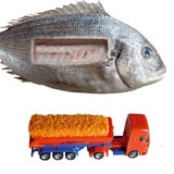 fischstaebchen1