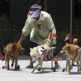hundereha_06_ap