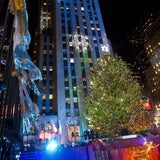 Der bekannteste Christbaum leuchtet