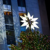 Der bekannteste Christbaum leuchtet