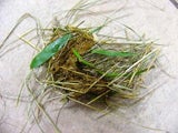 kacke-fu-long