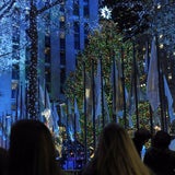 Der bekannteste Christbaum leuchtet