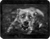 Giacomo_Brunelli,_Untitled