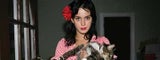 katy321_teaser