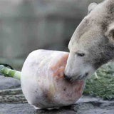 knut05