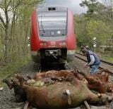 train