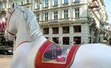 sacher_apa