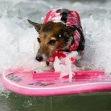 ReutersFTP-2009_09_13T20085