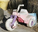 roller