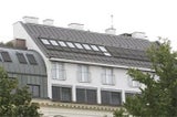 penthouse_rogan
