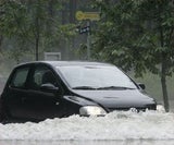 flut_auto