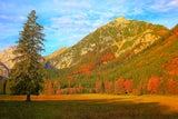 Schönste Wanderungen in Innsbruck und Umgebung