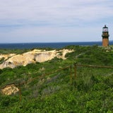 marthasvineyard8_sxc
