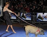 2pps_emmathompson3
