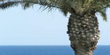 lanzarote_sxc