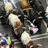 stier2_fini