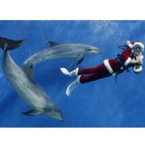 ReutersFTP-2009_12_0__28