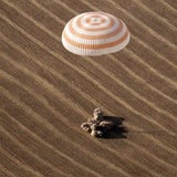 steppe