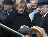 die_drei
