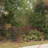 unfall2