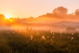 Laut Bauernregel: Das bedeutet das Wetter Anfang März für den Frühling
