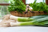 Saisonkalender: Diese regionalen Superfoods gehören im März auf Ihren Teller