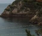 cove