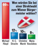 100129_WienUmfrage