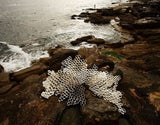 GettyFTP-GYI0058766399
